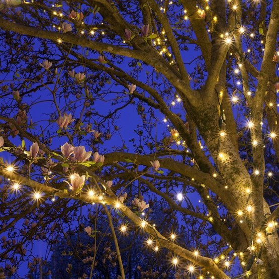 Mini Christmas lights for DIY trees shrubs and railings